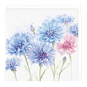 Card Cornflower 1